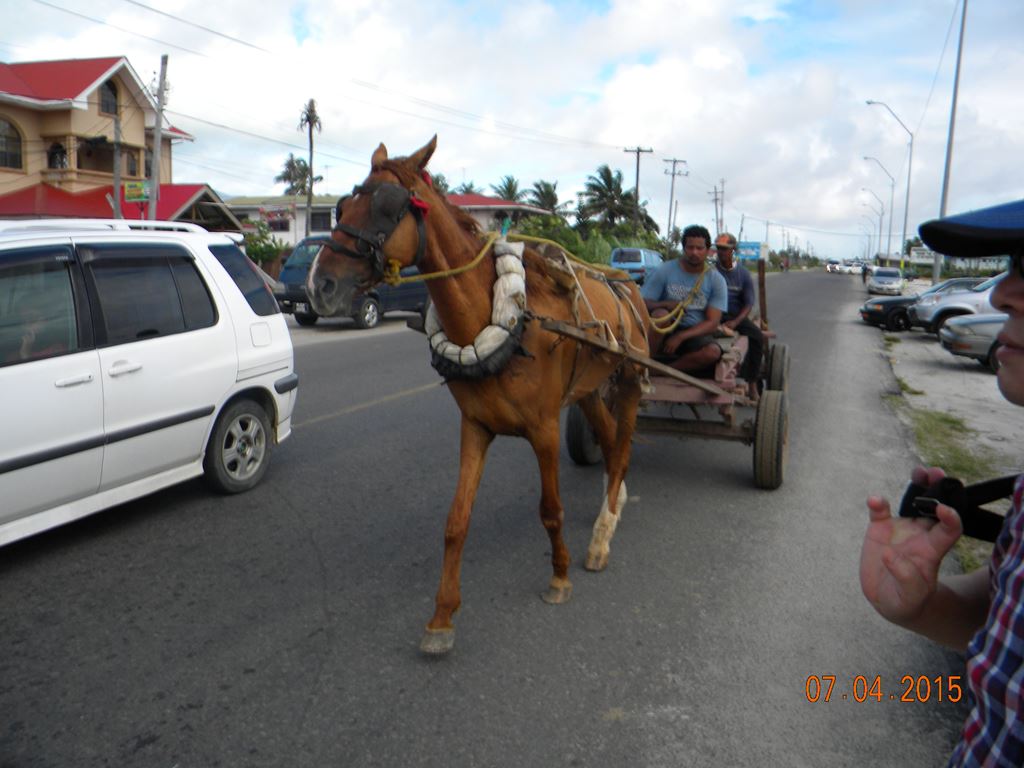 街で見かける荷馬車 街で見かける荷馬車