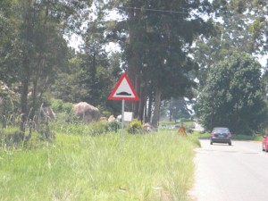 Road sign for Humps